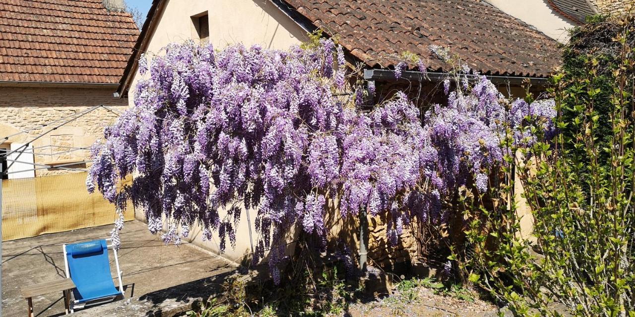 Gite Du Bouyssou Carsac-Aillac Exterior photo