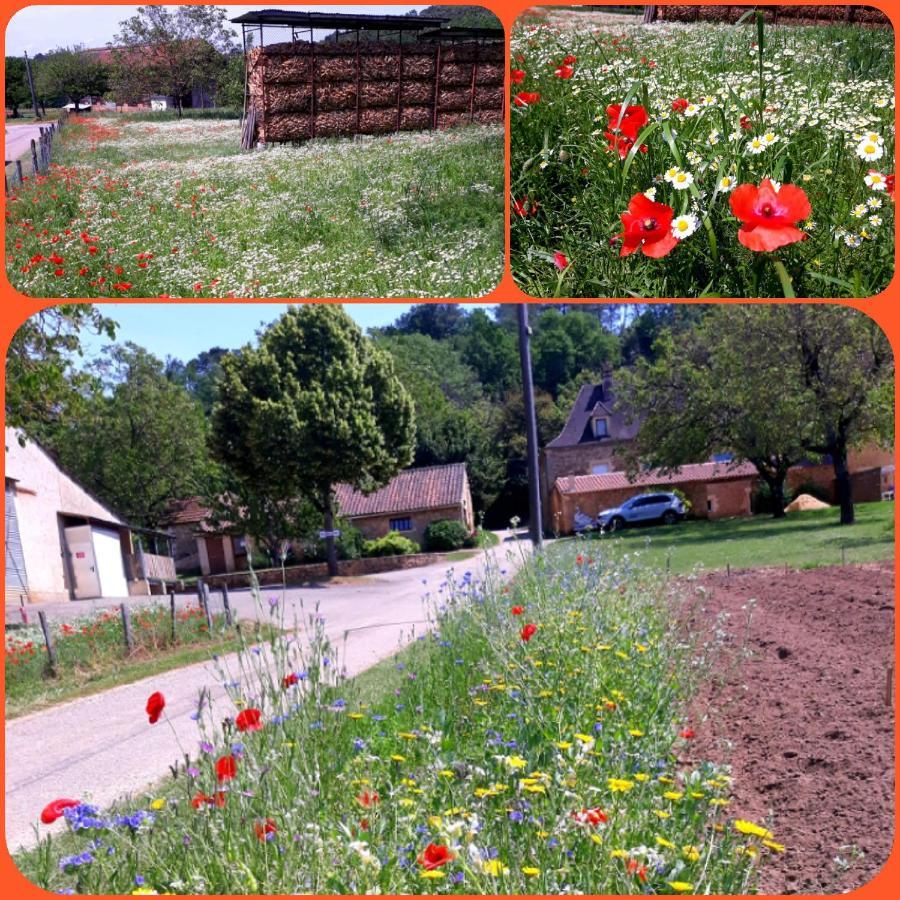 Gite Du Bouyssou Carsac-Aillac Exterior photo