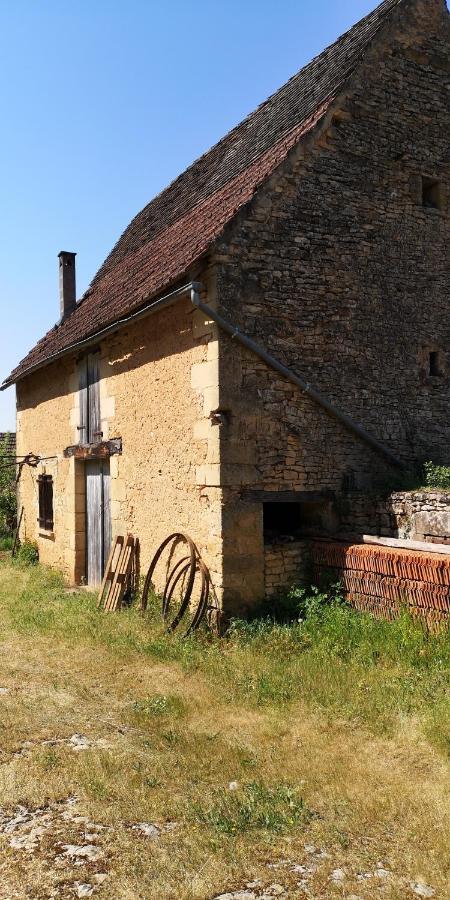 Gite Du Bouyssou Carsac-Aillac Exterior photo