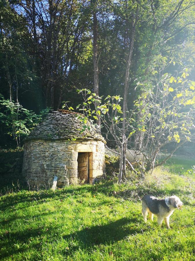 Gite Du Bouyssou Carsac-Aillac Exterior photo